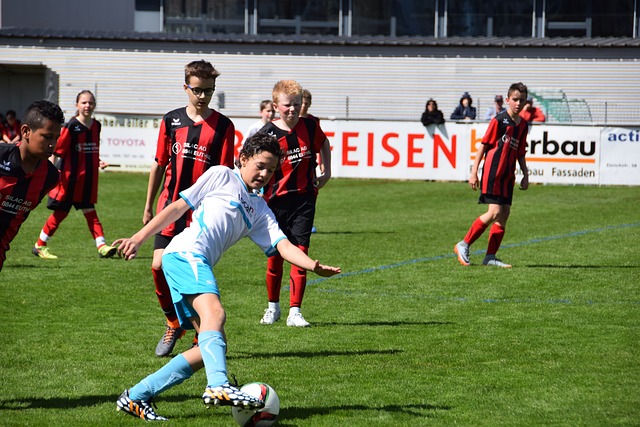 略布局的重 略布局的重