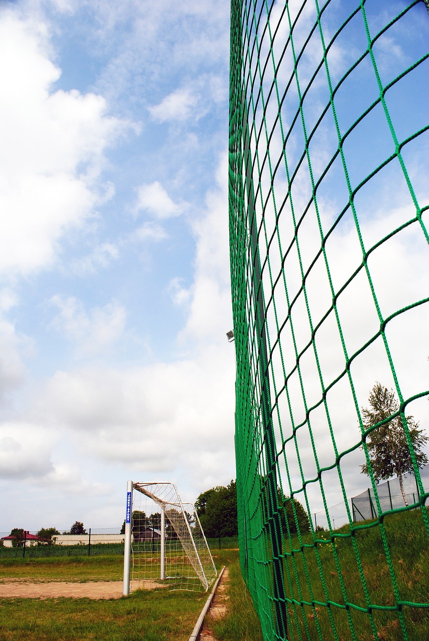 它不仅是对 它不仅是对