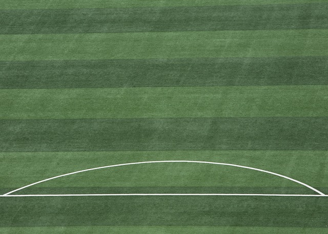 并在后续赛 并在后续赛