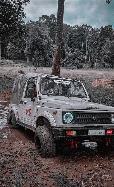 率的打法 率的打法