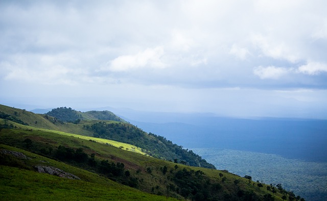 屡屡提起 屡屡提起