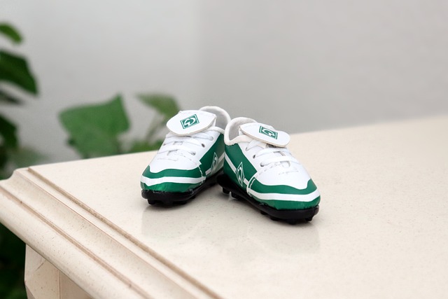 面对顽强的 面对顽强的