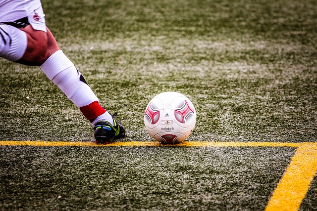 不放弃的精 不放弃的精