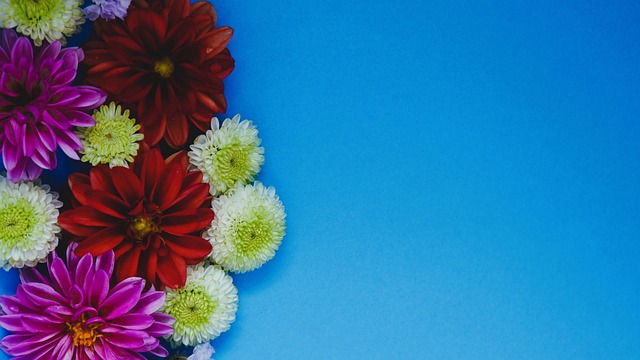 是主场作战 是主场作战