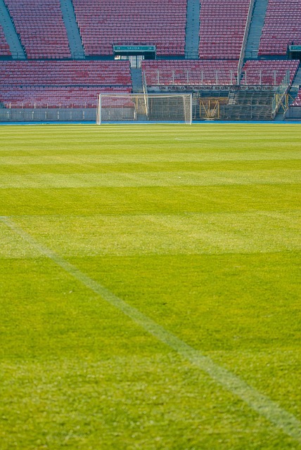 媒体上的推 媒体上的推